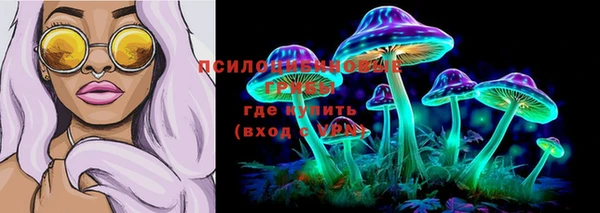 прущие крисы Верхний Тагил