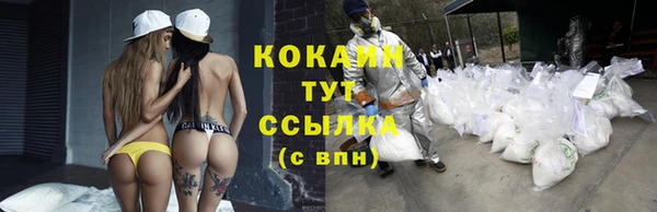 прущие грибы Верея