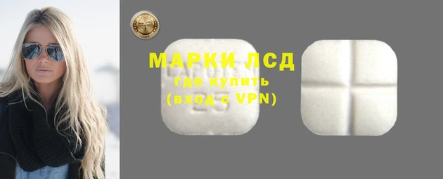 прущие грибы Верея