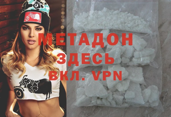 прущие грибы Верея