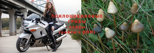 прущая мука Тайга