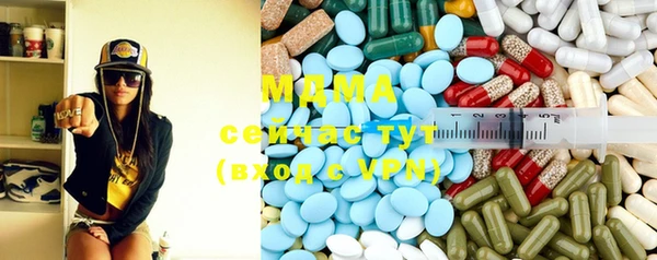 прущие грибы Верея