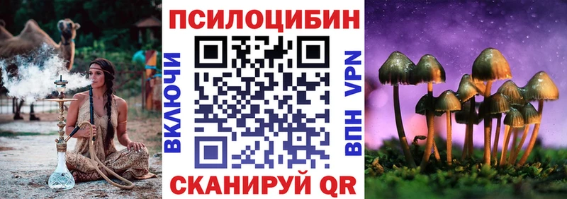 Псилоцибиновые грибы Magic Shrooms  Купить  Электроугли 